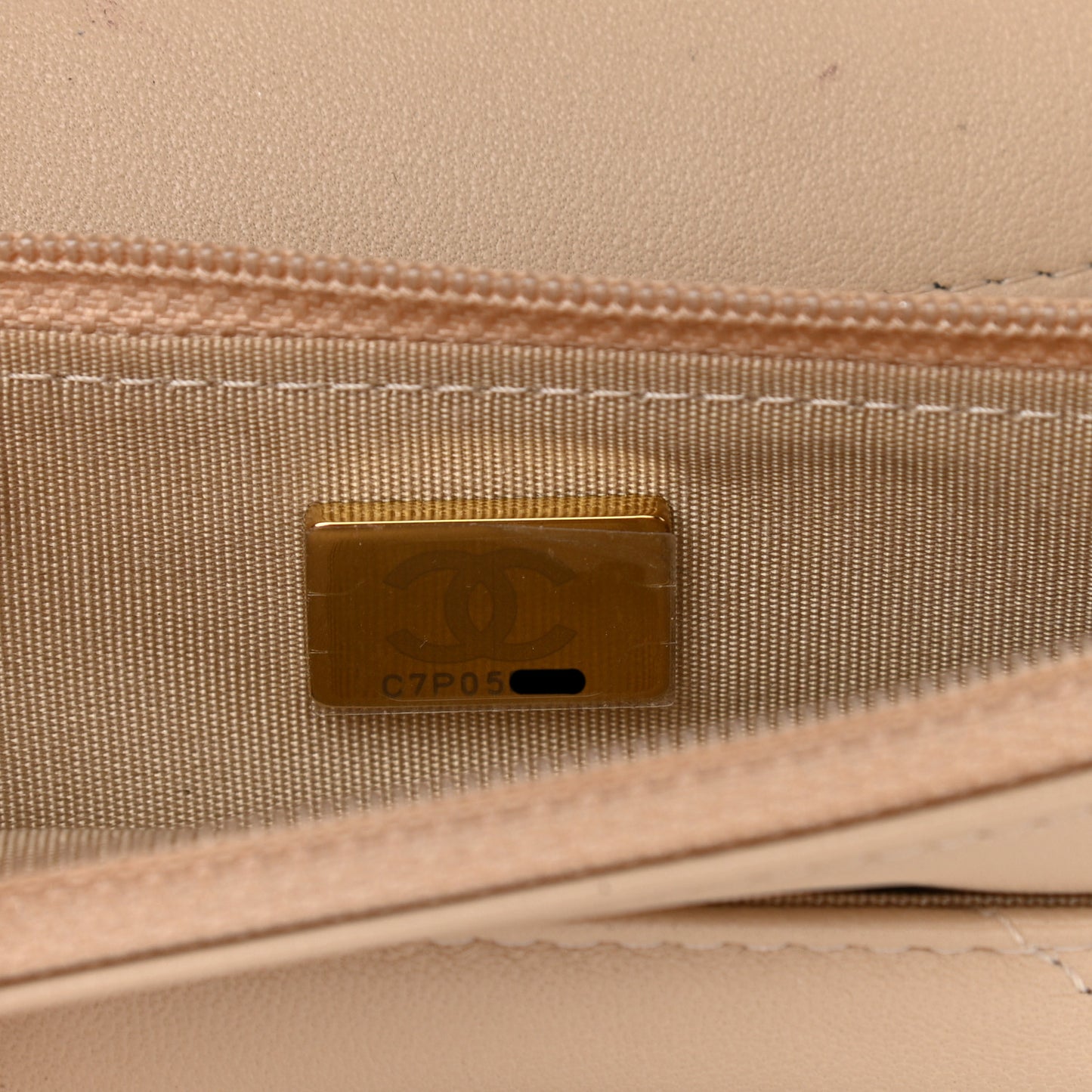 Lambskin Quilted Chanel 19 Wallet On Chain WOC Beige