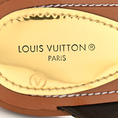Louis Vuitton Monogram Sunny Flat Thong Sandals 38 Brown 6 of 9