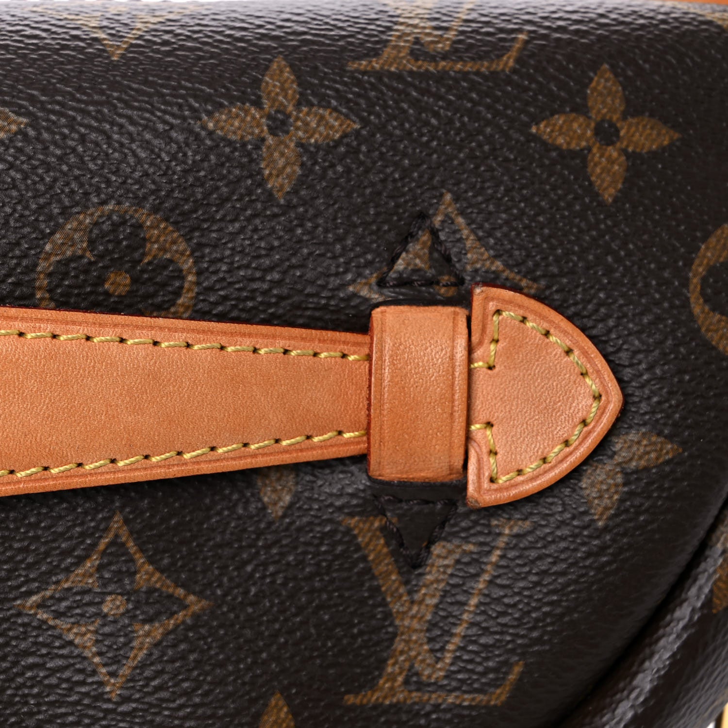 Louis Vuitton Monogram Bumbag 12 of 18