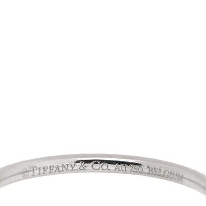 Tiffany 18K White Gold Diamond .34ctw Soleste Full Eternity Band Ring 50 5.5 4 of 4
