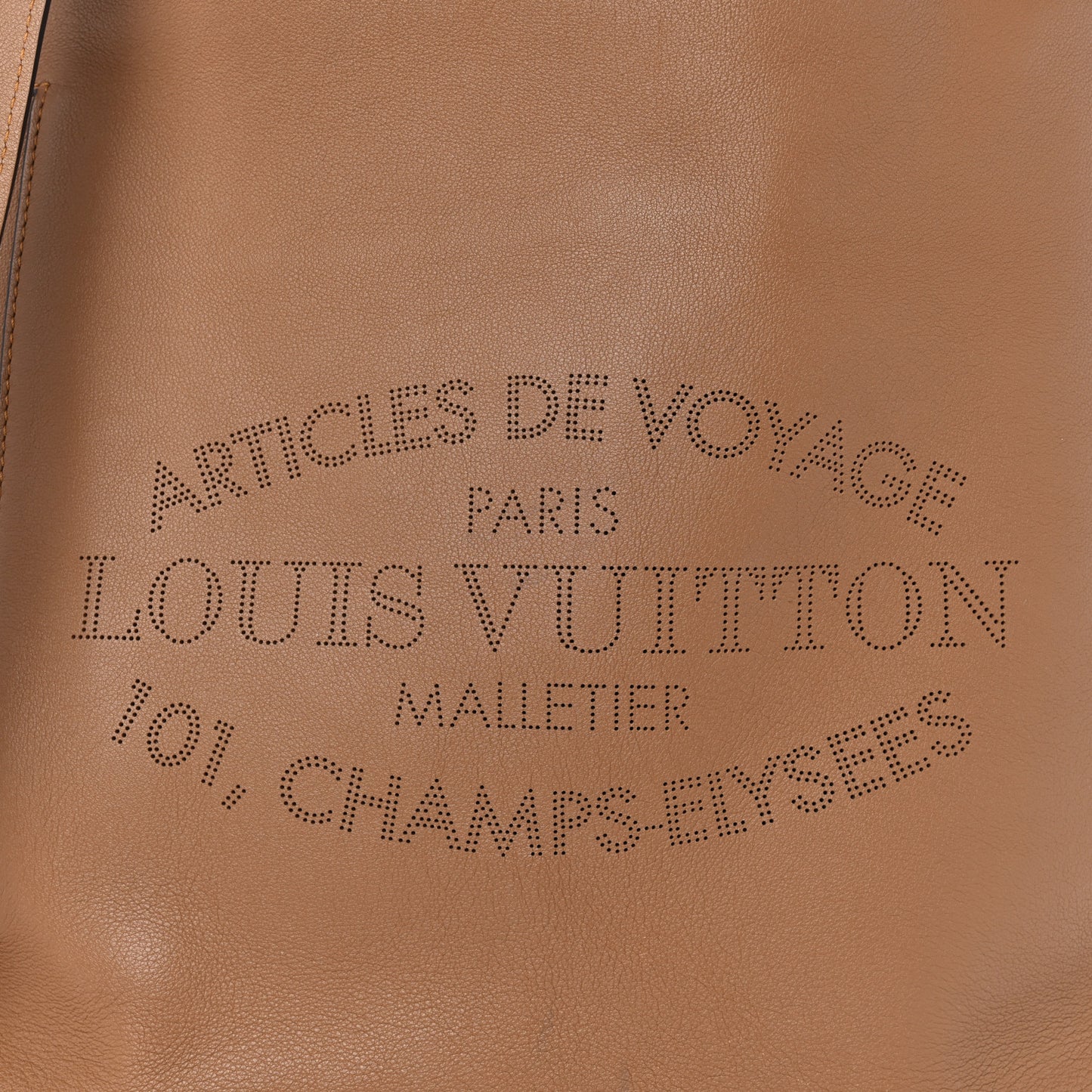 Veau Soie Calfskin Parnassea Bagatelle Hobo Hazelnut