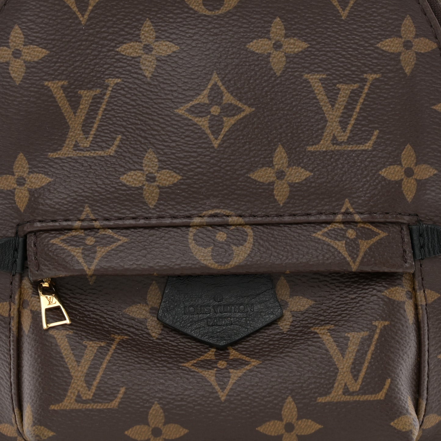 Monogram Palm Springs Backpack Mini