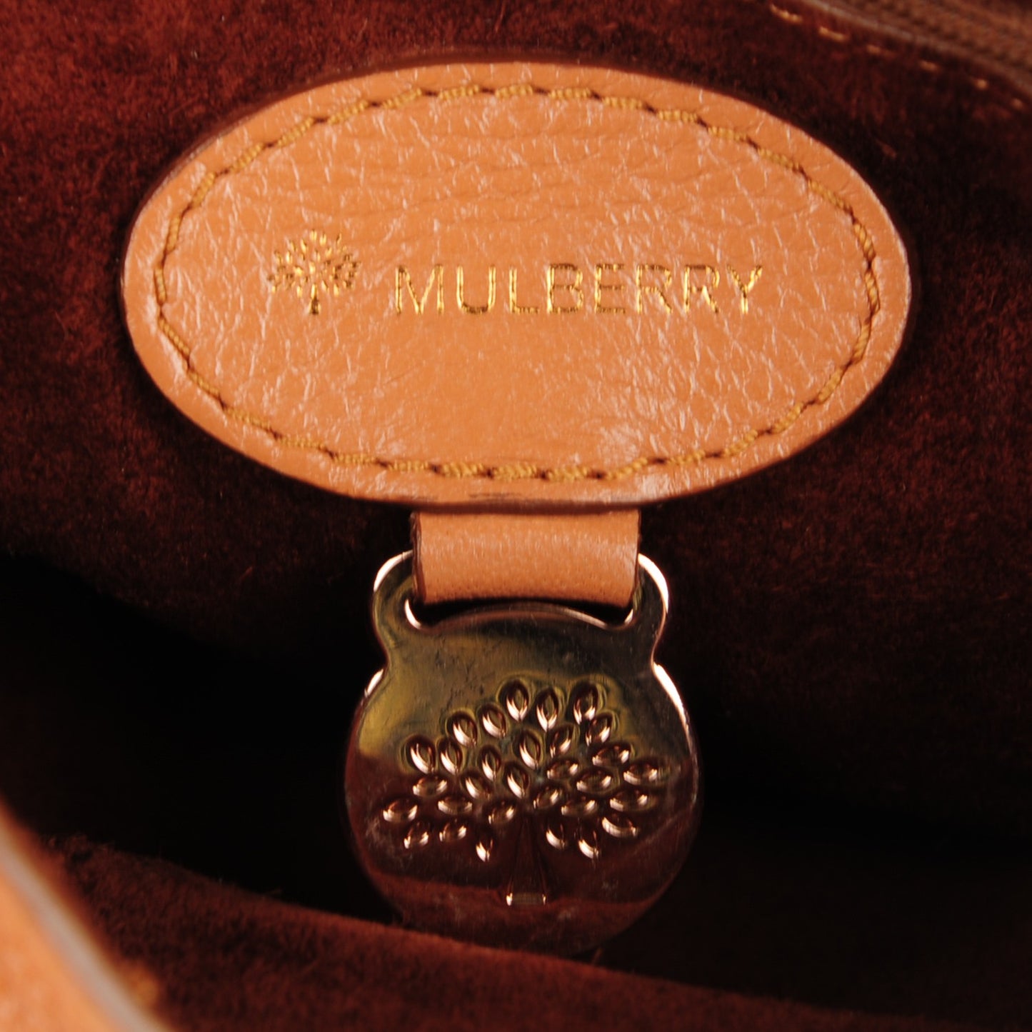 Glossy Goatskin Small Lily Flap Apricot