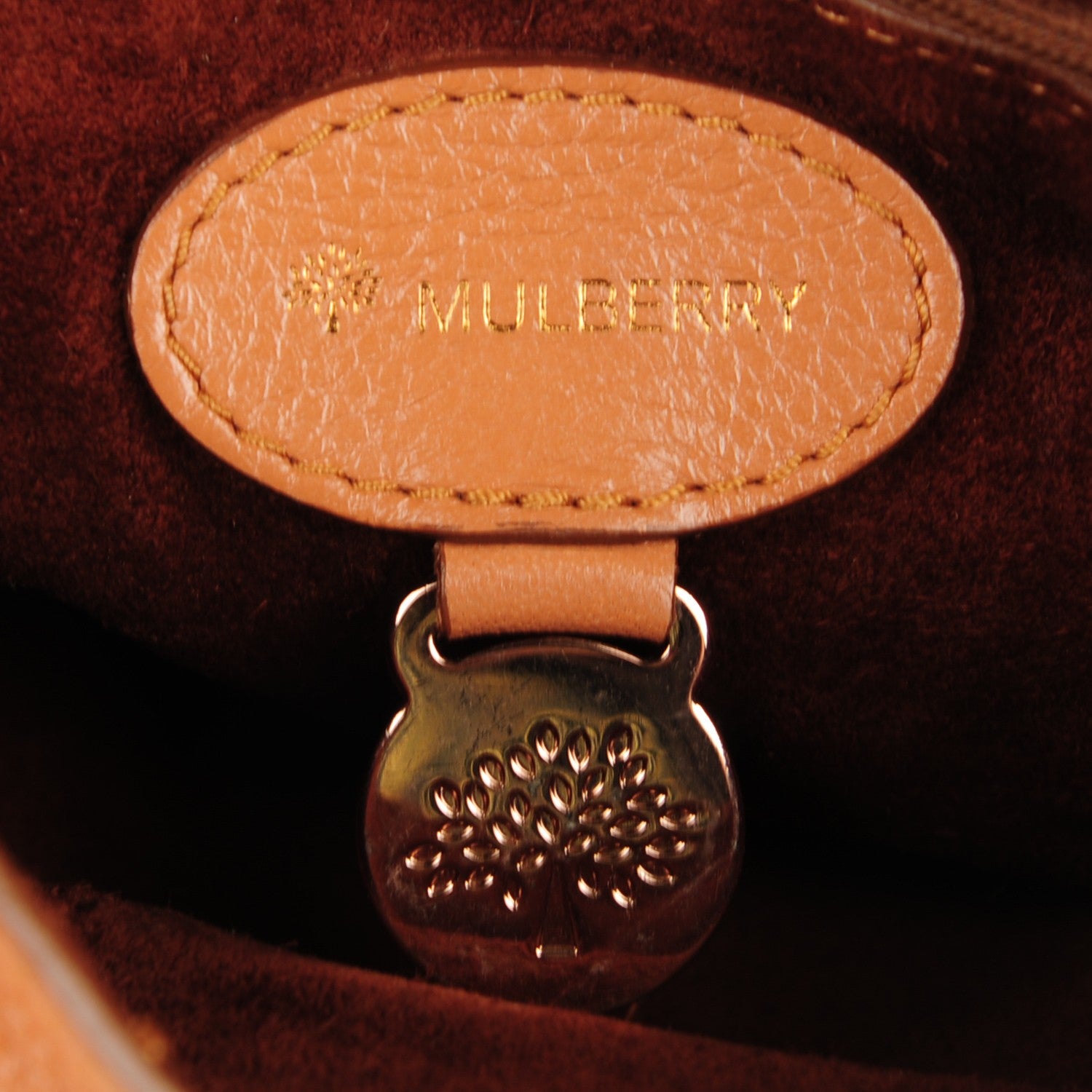 Mulberry Glossy Goatskin Small Lily Flap Apricot 6 of 8