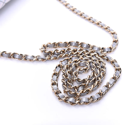 Chanel Iridescent Goatskin Quilted Wallet On Chain WOC Silver 11 of 12