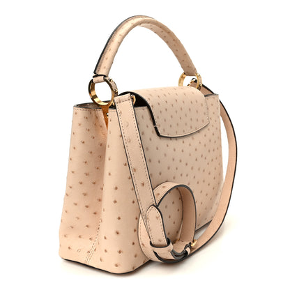 Louis Vuitton Ostrich Capucines PM Rose Champagne 3 of 10