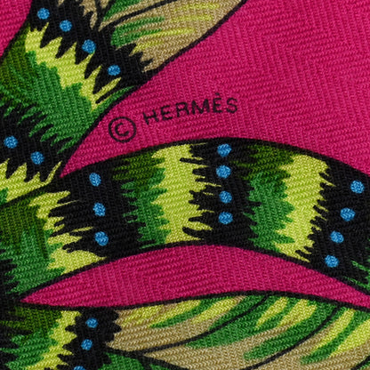 Hermes Cashmere Silk The Savana Dance Shawl 140 4 of 5