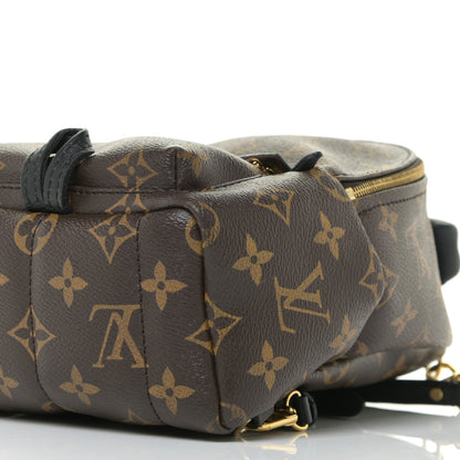 Louis Vuitton Monogram Palm Springs Backpack Mini 9 of 11