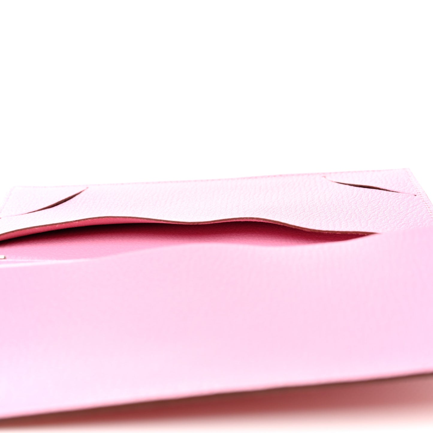 Lizard Vision II Agenda Cover Rose Confetti