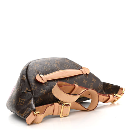 Louis Vuitton Monogram My LV World Tour Bumbag 4 of 10