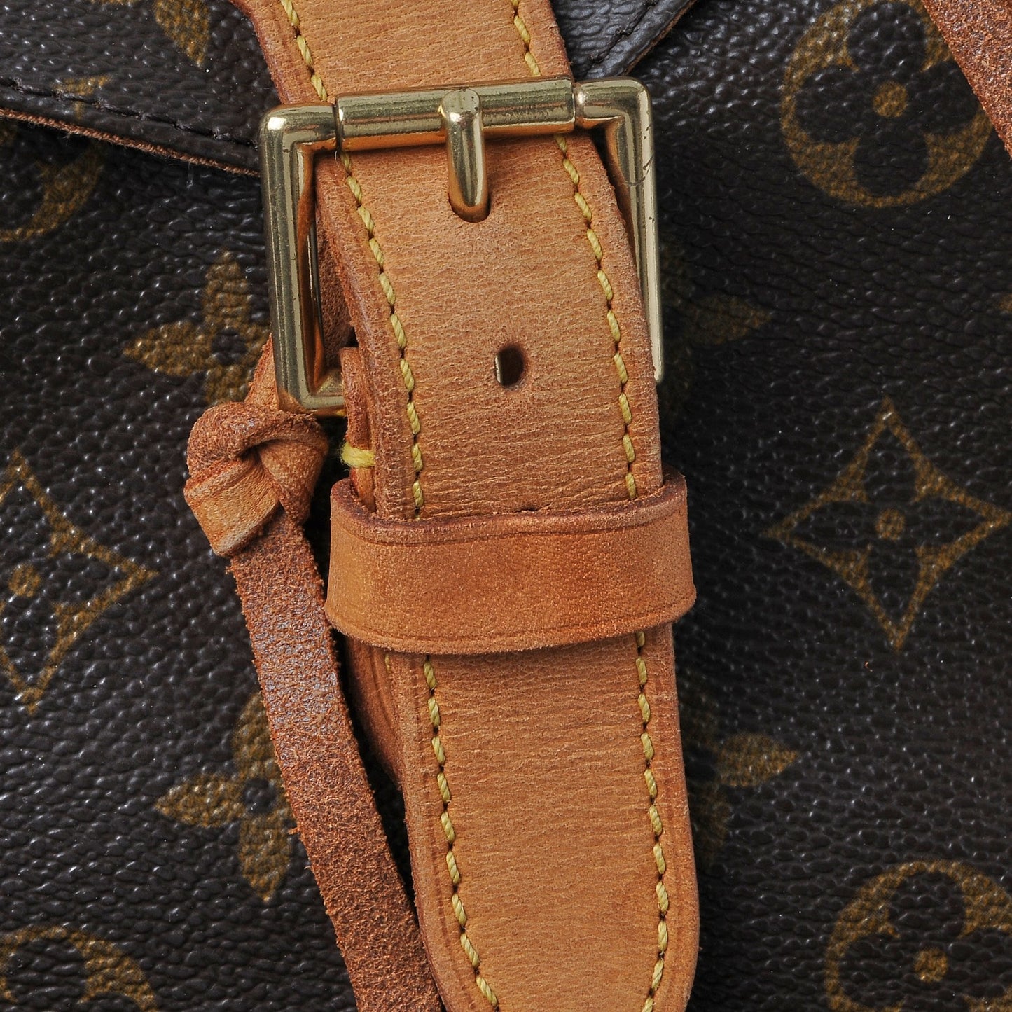 Monogram Montsouris GM Backpack