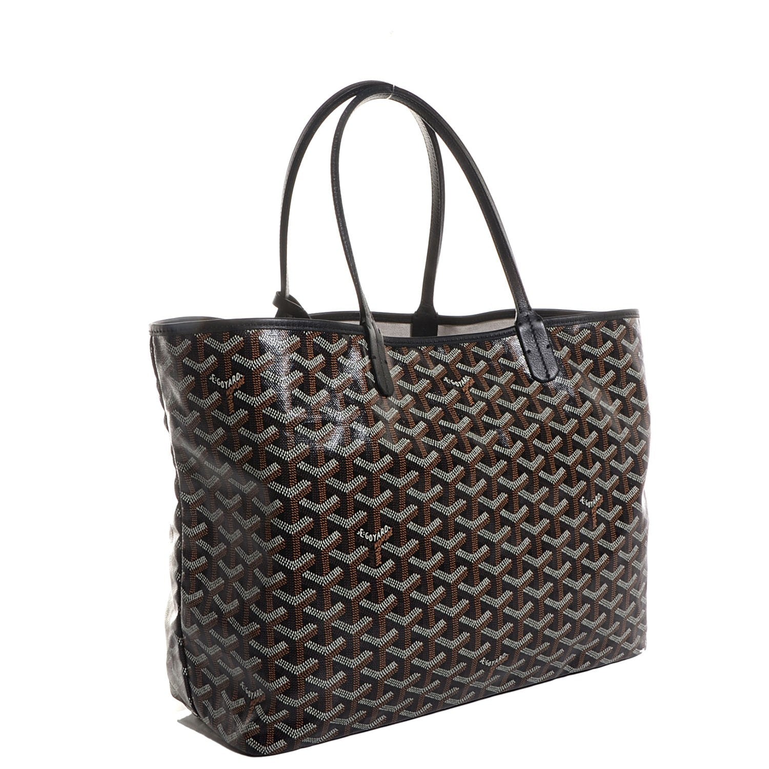 Goyard Goyardine Saint Louis PM Black 4 of 9