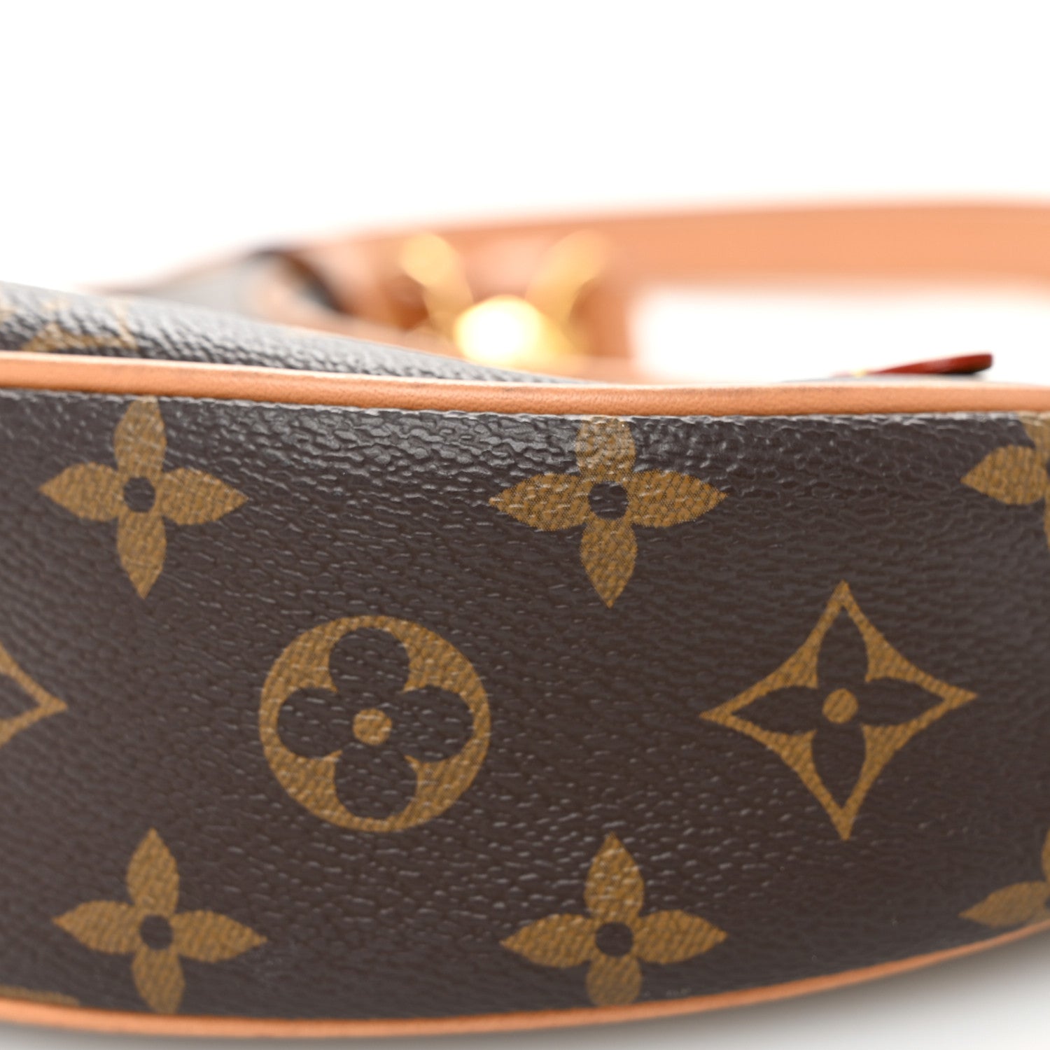 Louis Vuitton Monogram Loop 9 of 10