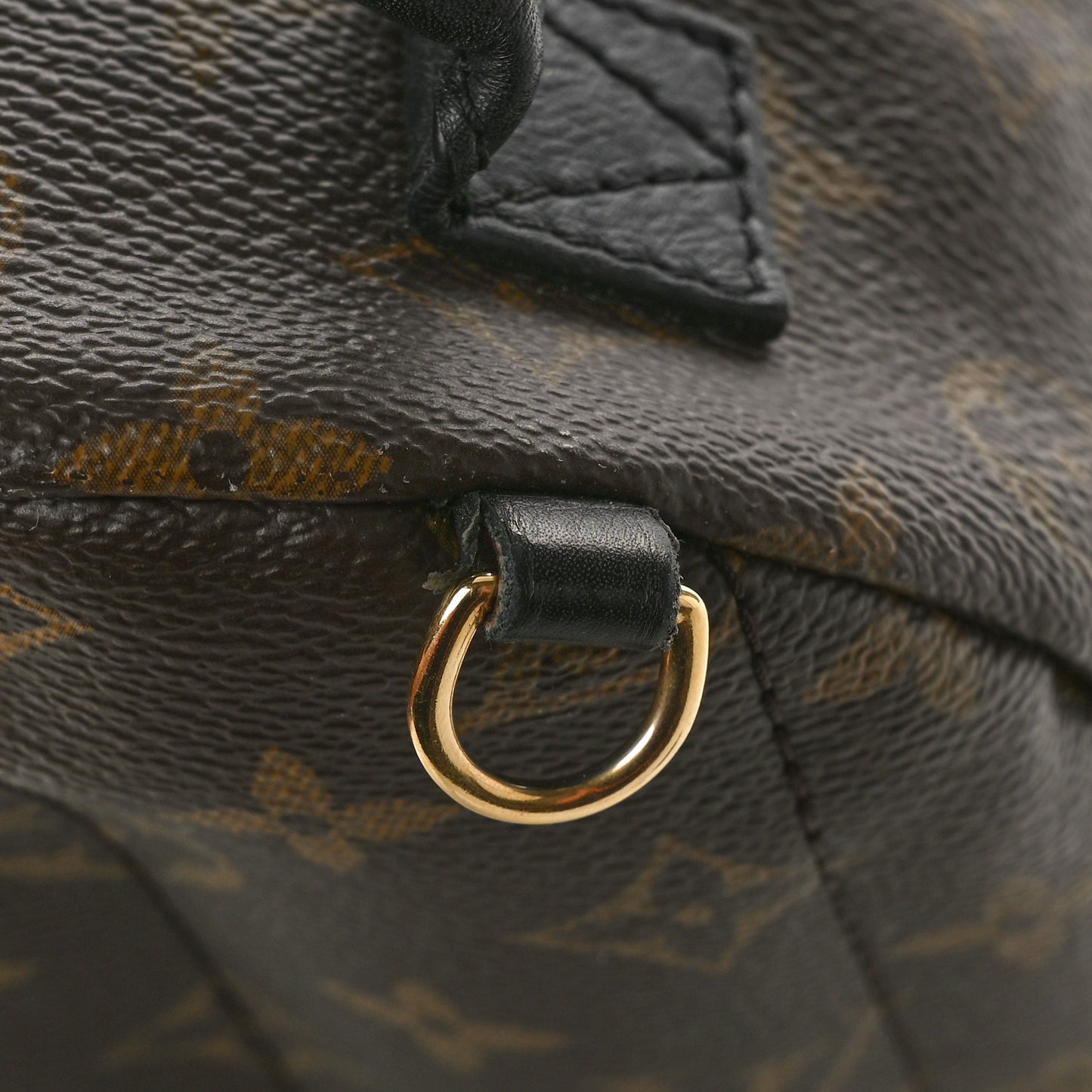 Monogram Palm Springs Backpack Mini