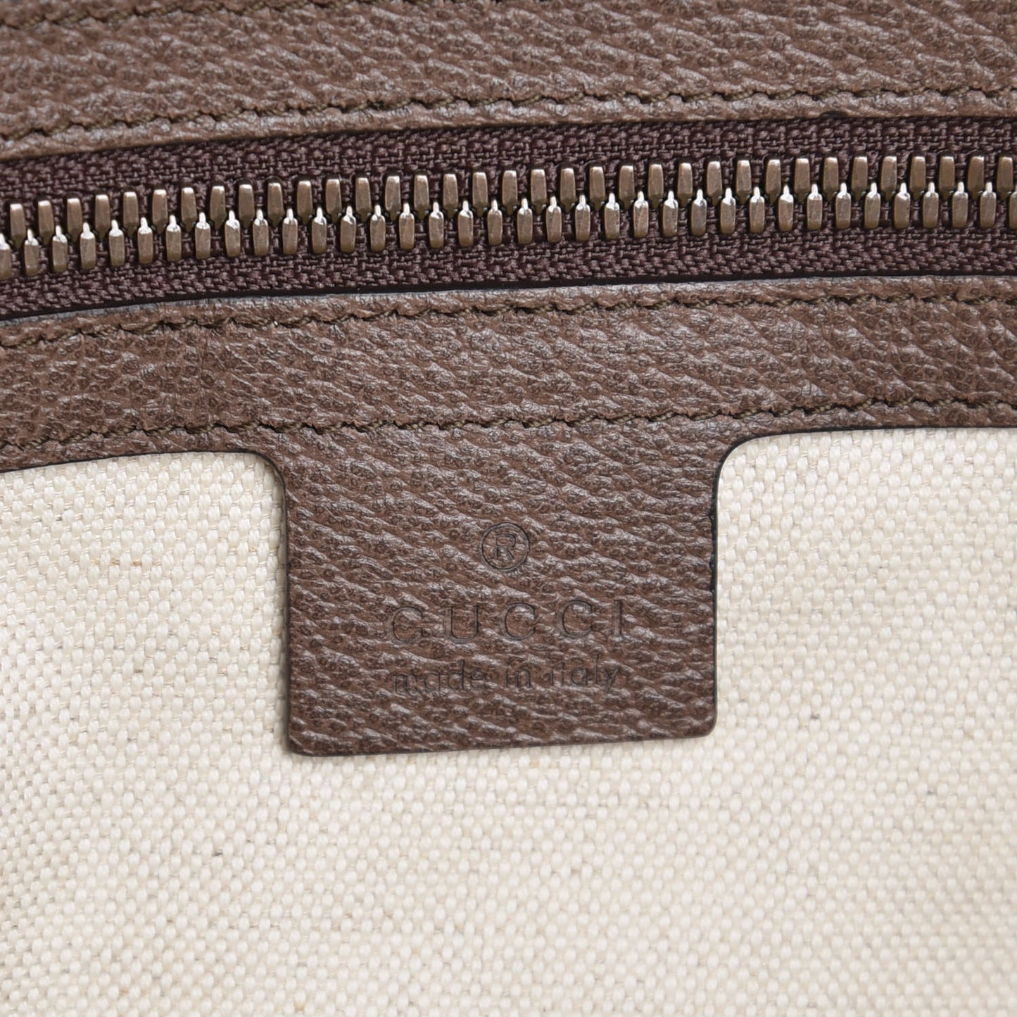 GG Supreme Monogram Web Ophidia Half Moon Hobo Brown