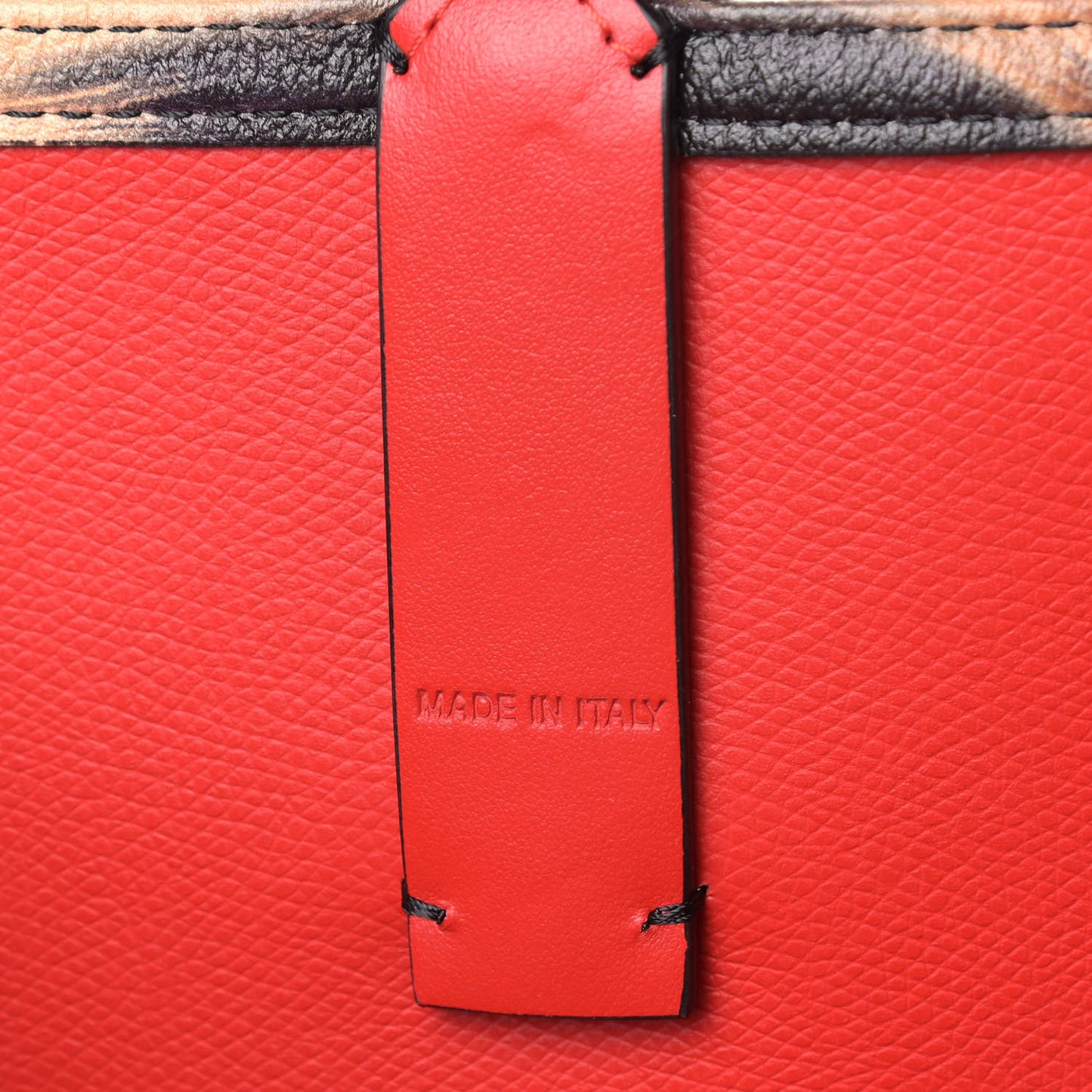 Calfskin Bengal Print Spikes East West Cabata Tote