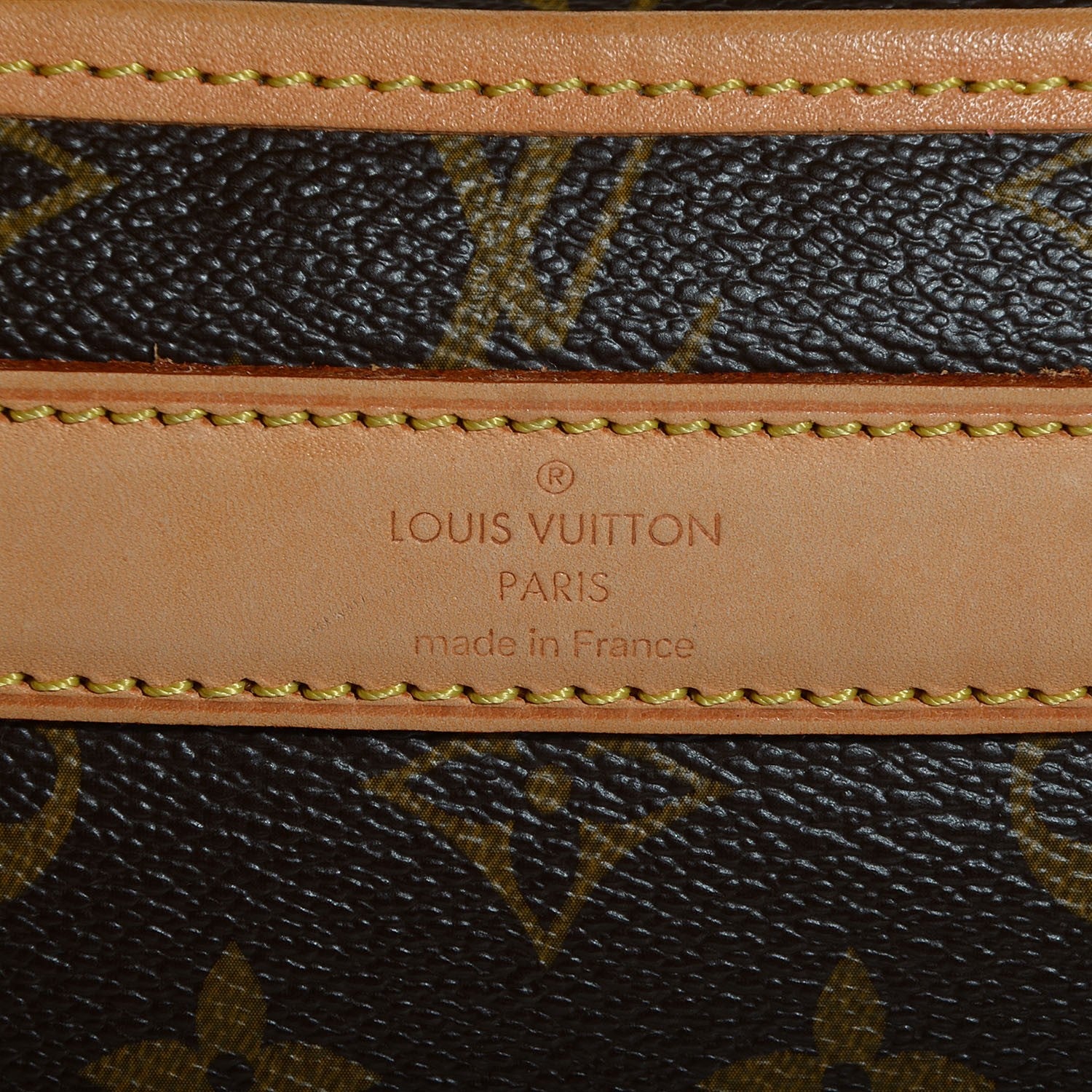 Louis Vuitton Monogram Sac Chien 40 Pet Carrier 7 of 7