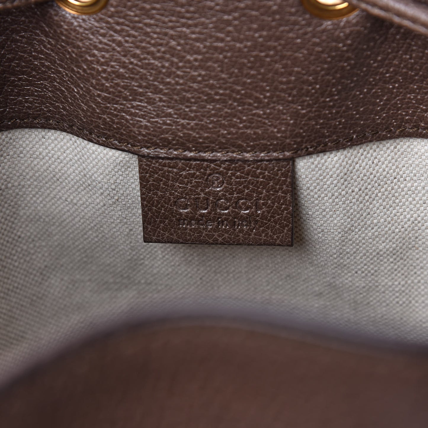GG Supreme Monogram Web Ophidia Bucket Bag Brown
