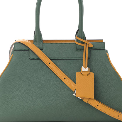 Moynat Taurillon Gex Pauline Tote 8 of 12