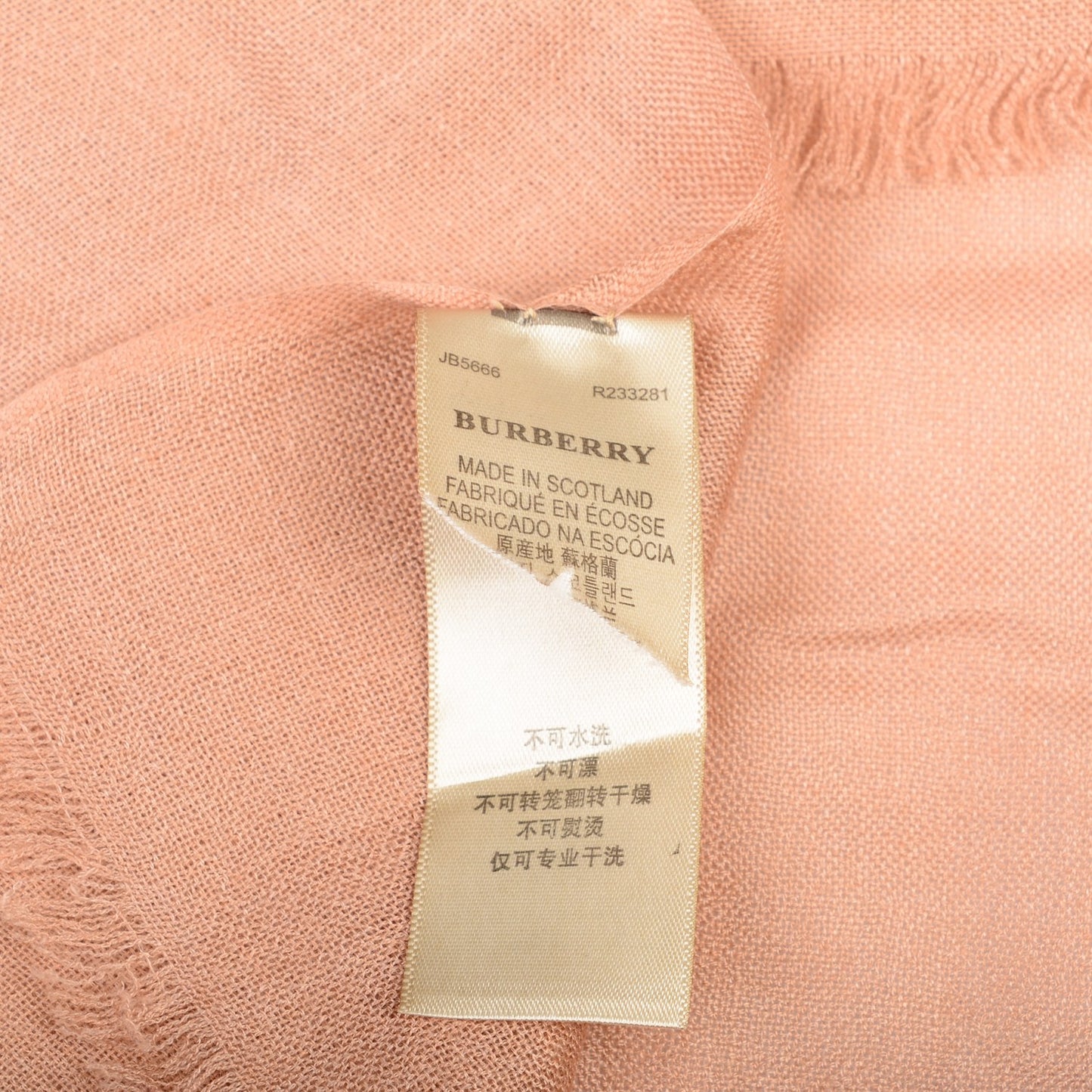 Cashmere Embroidered Fringe Scarf Camel