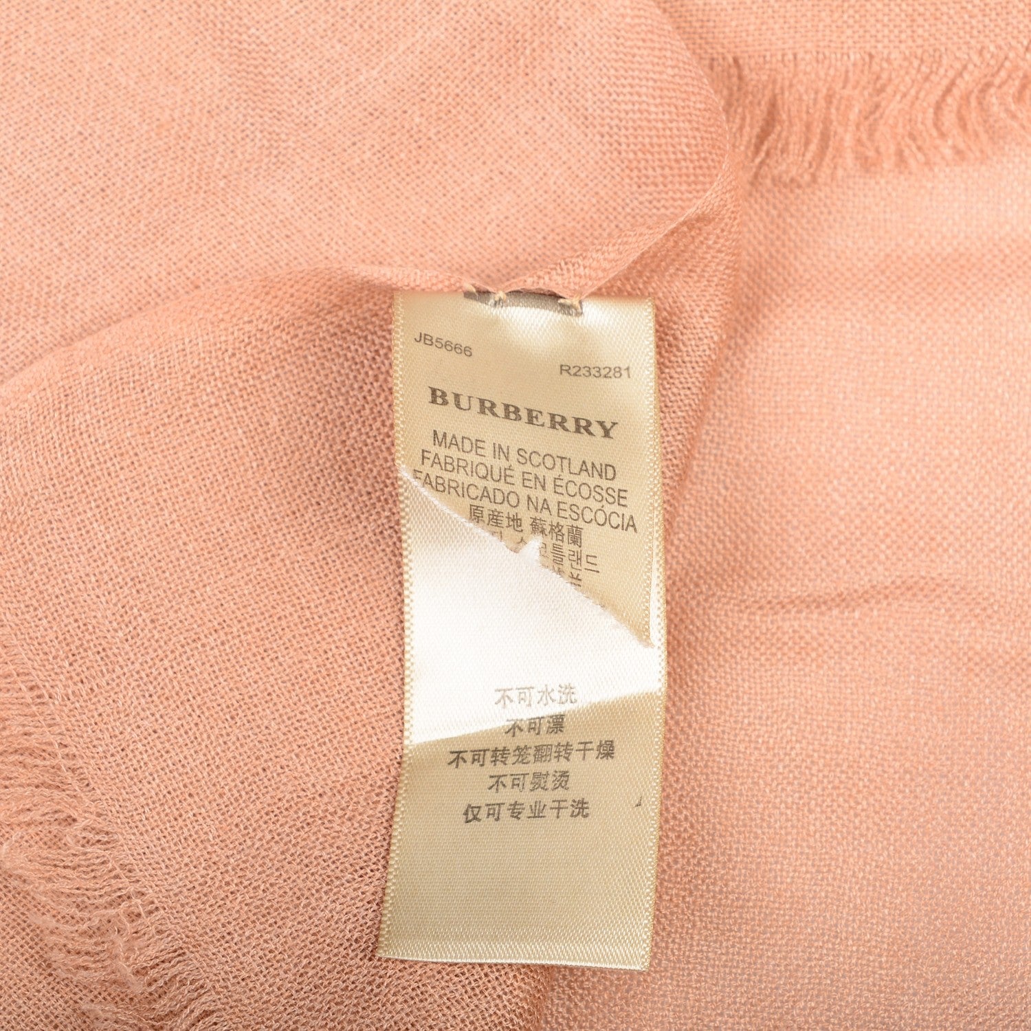 Burberry Cashmere Embroidered Fringe Scarf Camel 6 of 6