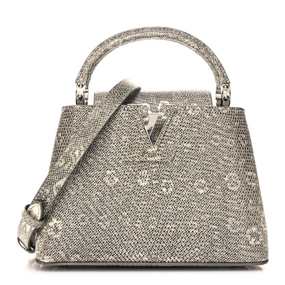 Louis Vuitton Lizard Mini Capucines Argento 1 of 9