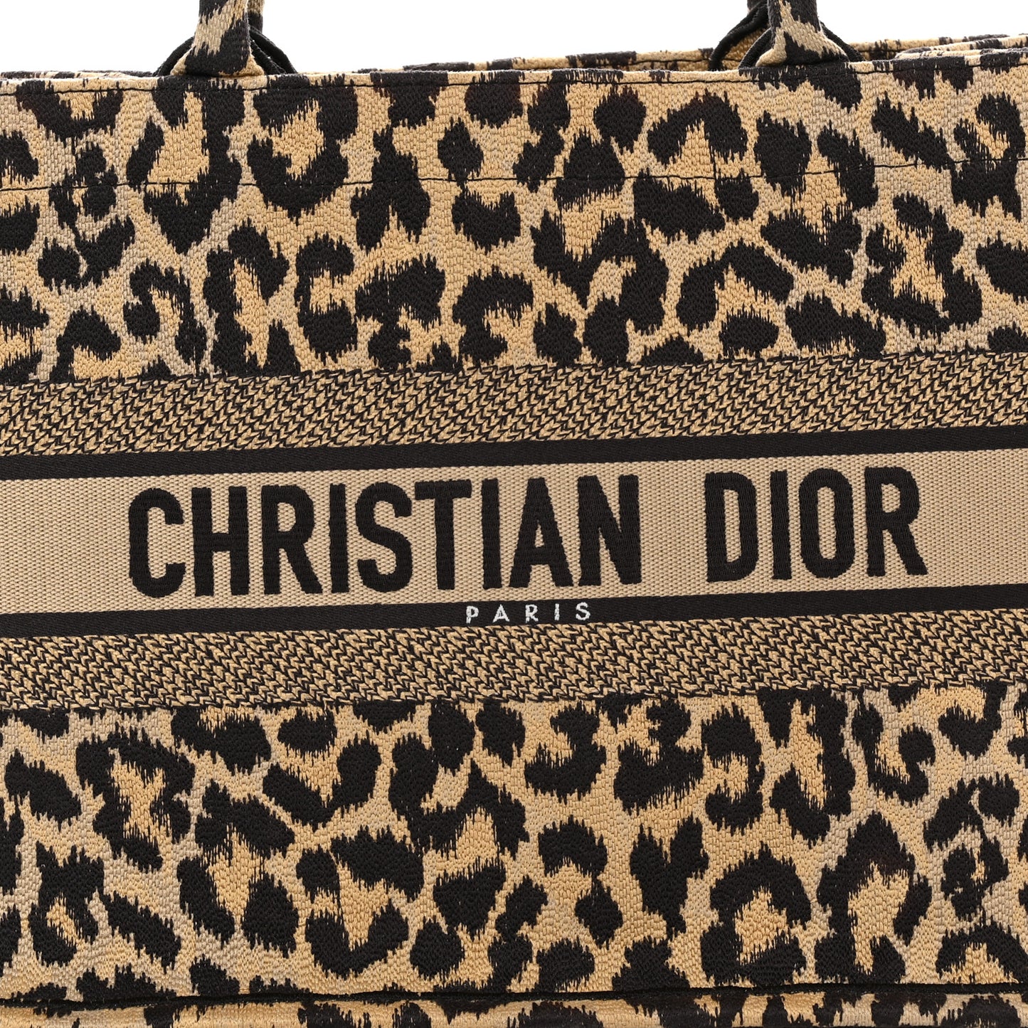 Canvas Mizza Embroidered Medium Leopard Book Tote Beige