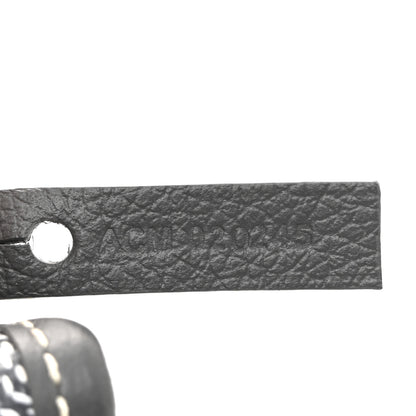 Goyard Goyardine Saint Louis PM Grey 9 of 12