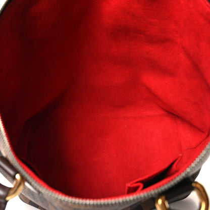 Louis Vuitton Damier Ebene Saleya PM 5 of 10