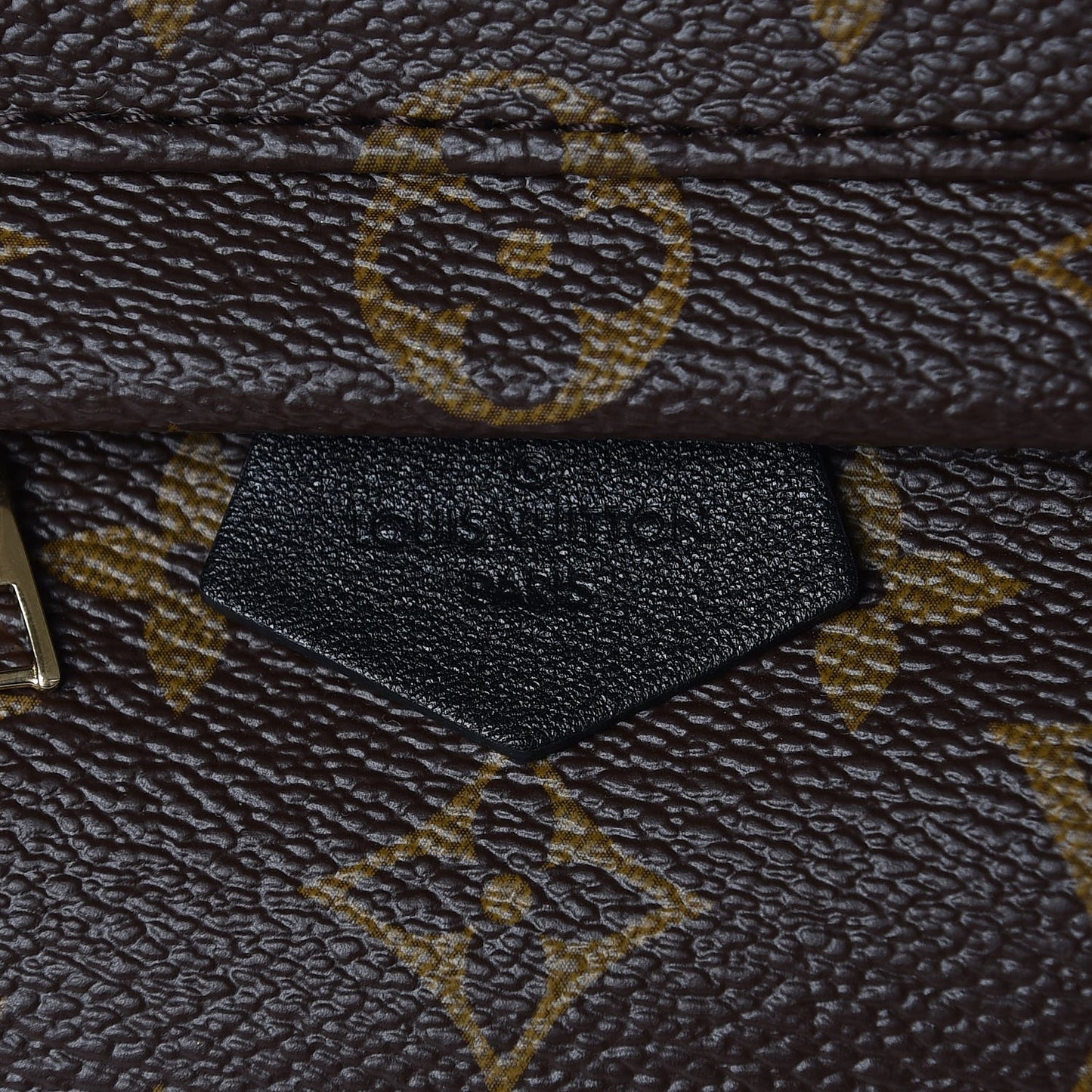 Monogram Palm Springs Backpack Mini