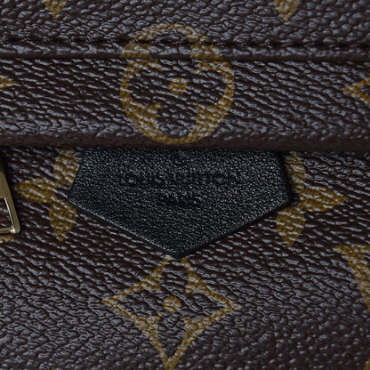Louis Vuitton Monogram Palm Springs Backpack Mini 6 of 7