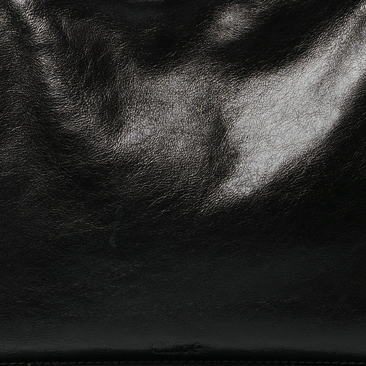 Natural Shiny Calfskin Large Paraty 24 Bag Black