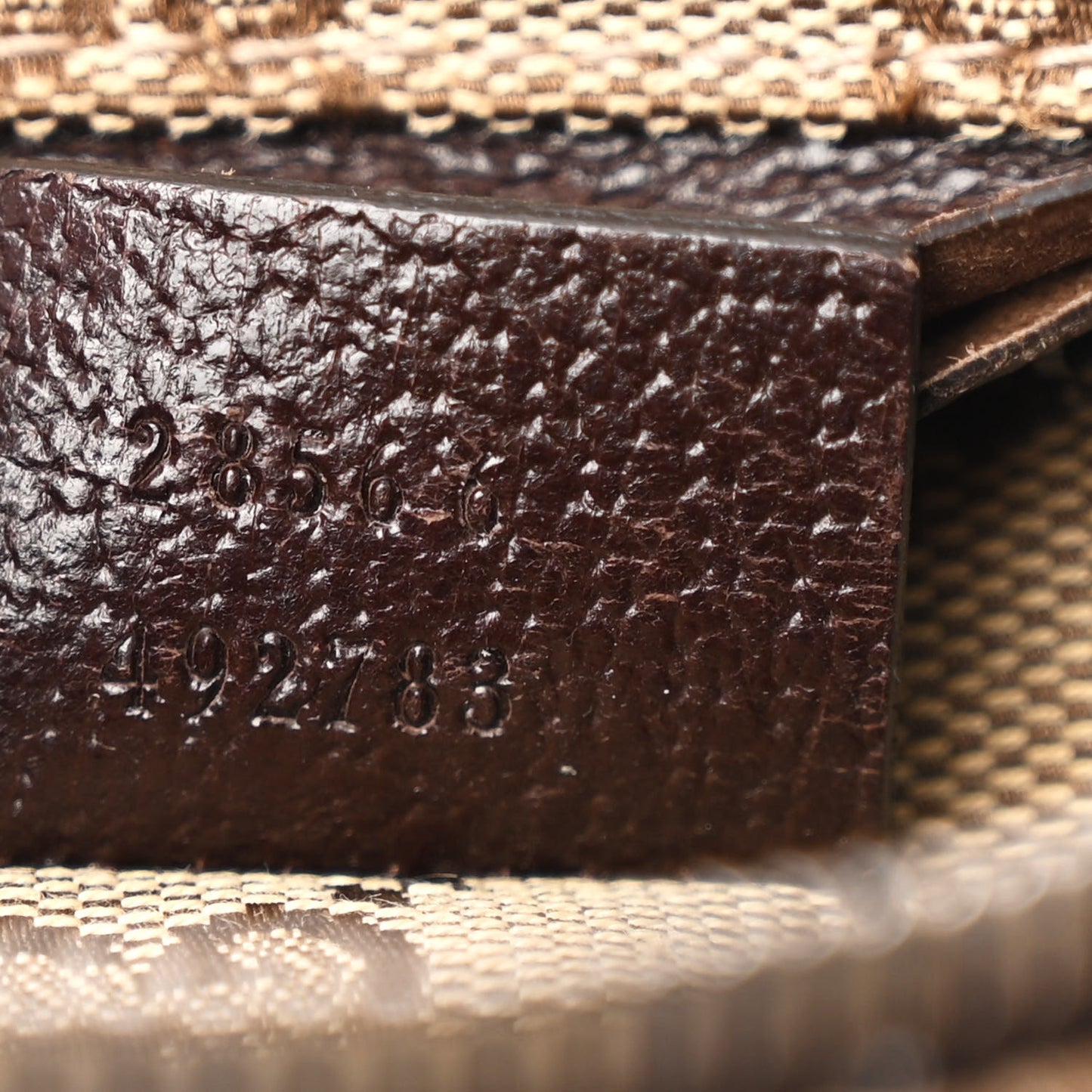 Monogram Web Belt Bag Dark Brown