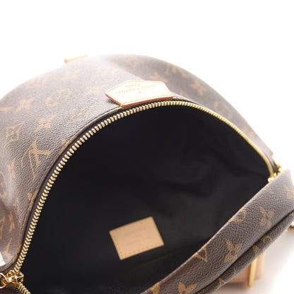 Louis Vuitton Monogram Bumbag 5 of 10
