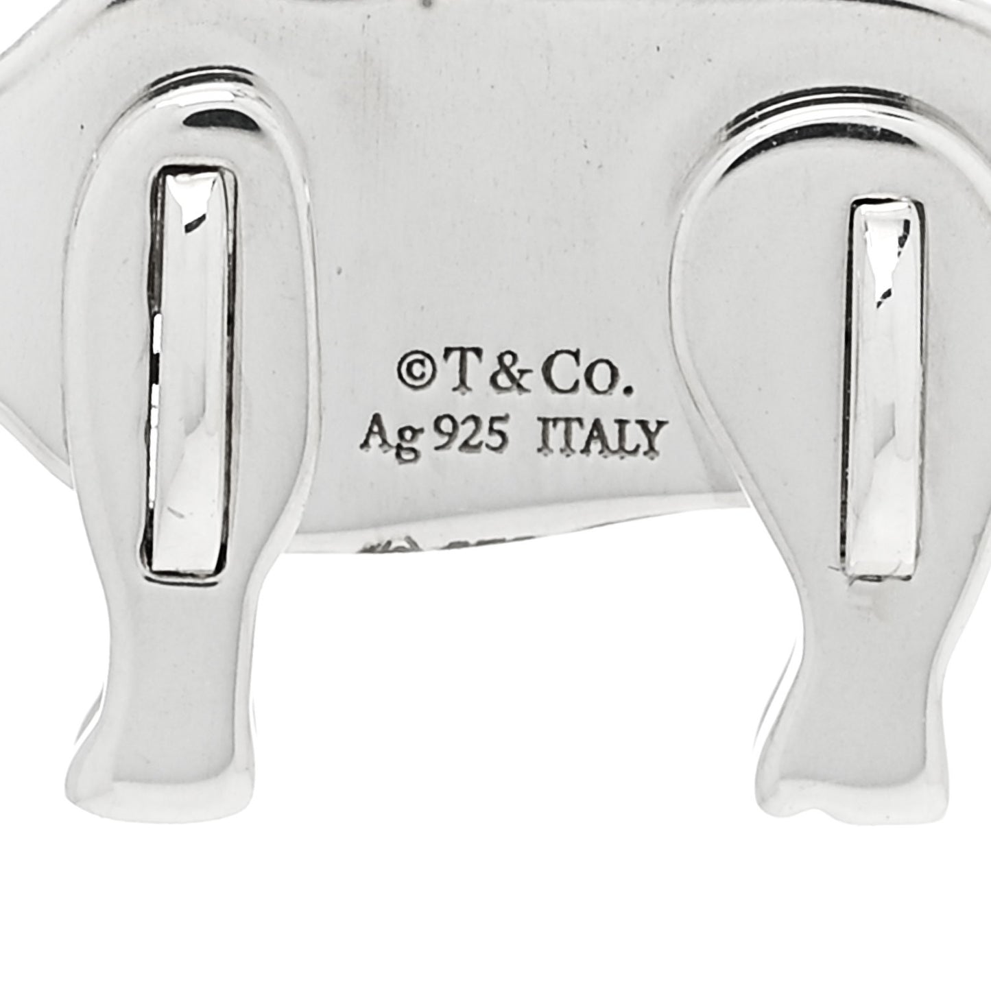 Sterling Silver Save the Wild Rhino Charm