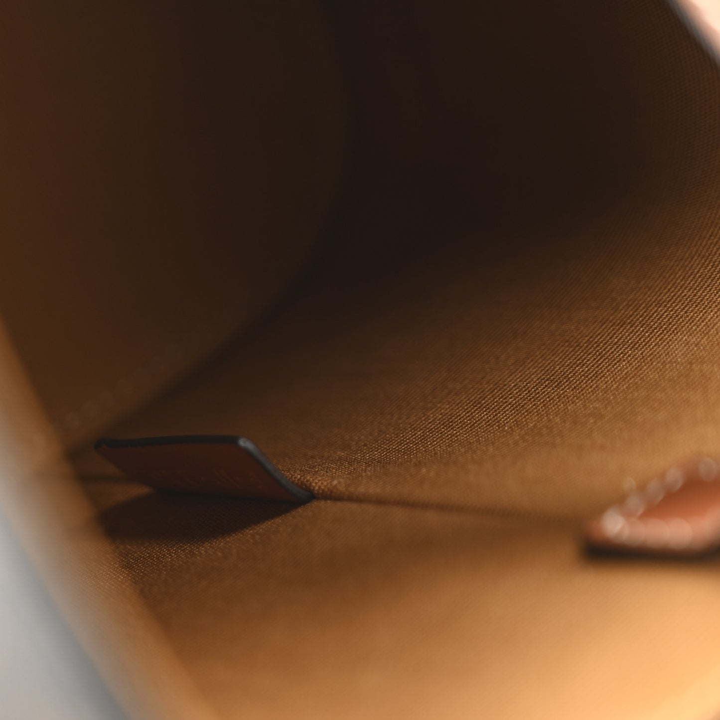 Triomphe Canvas Calfskin Medium Cuir Triomphe Box Tan