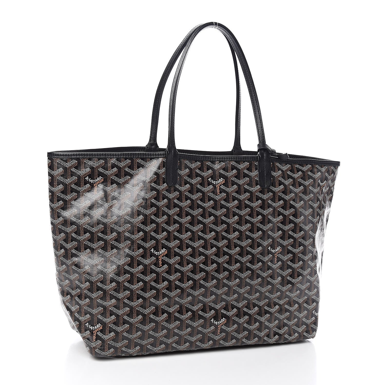 Goyard Goyardine Saint Louis PM Black 4 of 10