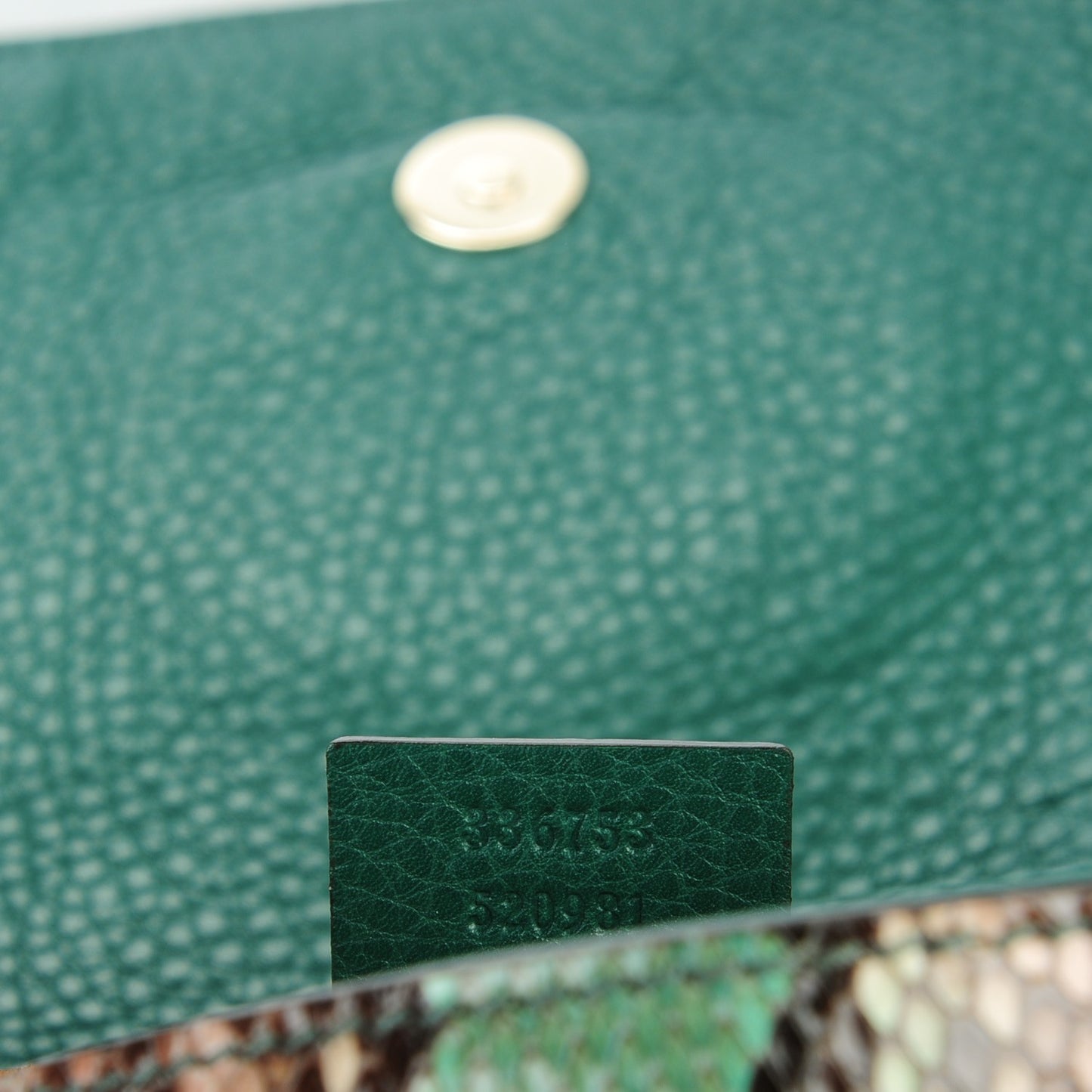 Python Medium Soho Clutch Green