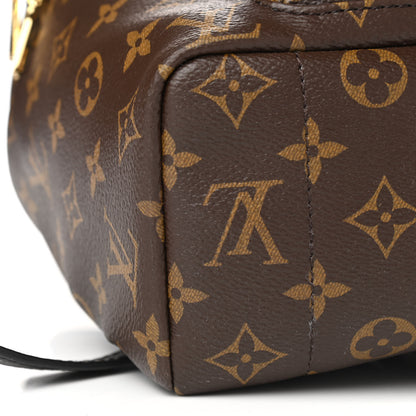Louis Vuitton Monogram Palm Springs Backpack MM 9 of 10