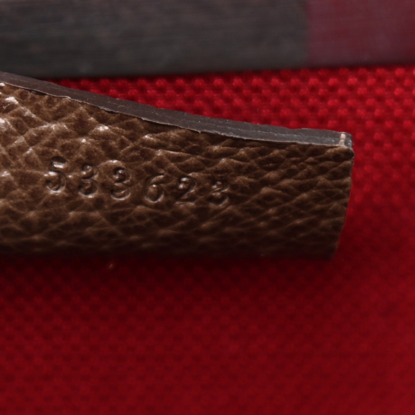 GG Supreme Monogram Globe-Trotter Beauty Case Brown