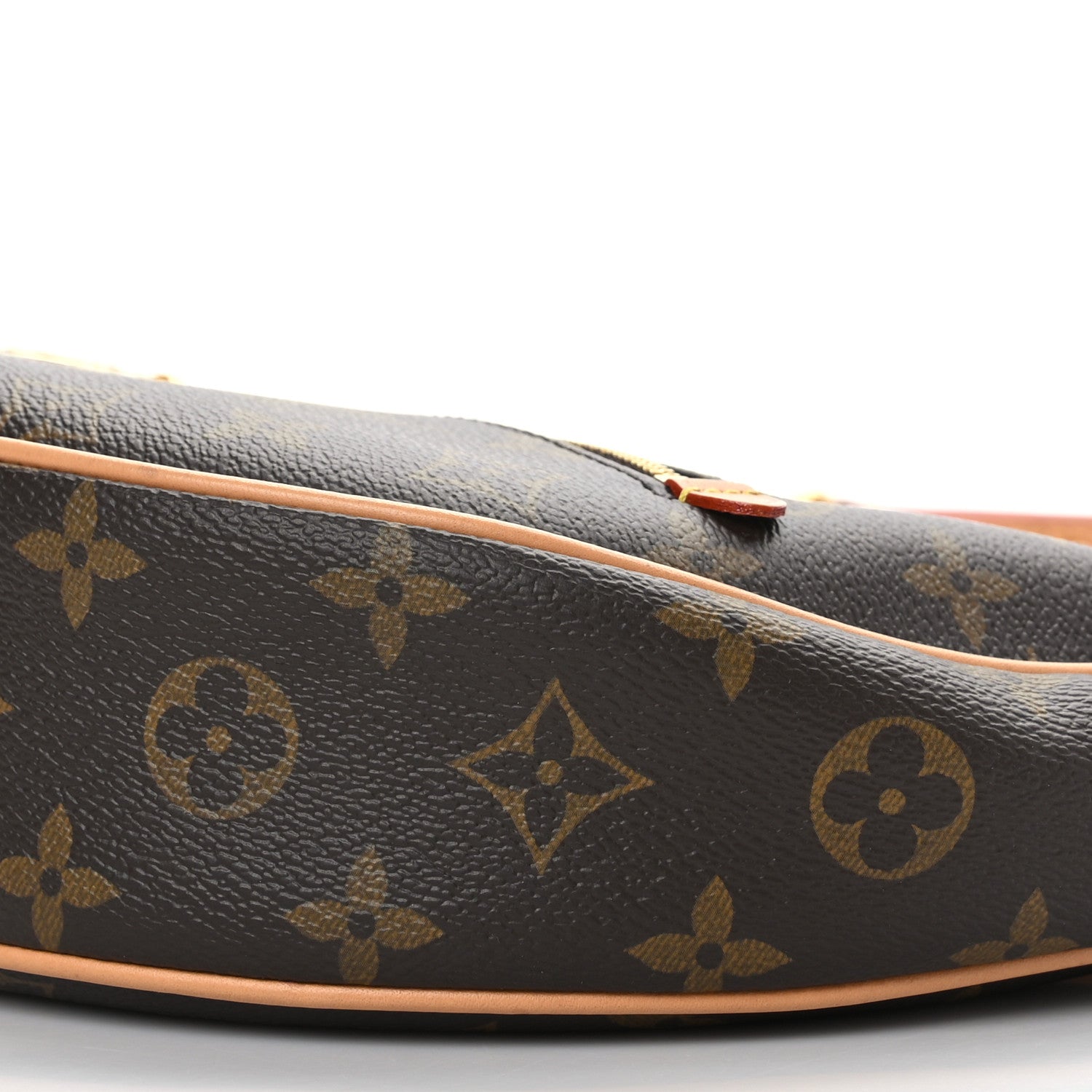 Louis Vuitton Monogram Loop 9 of 9