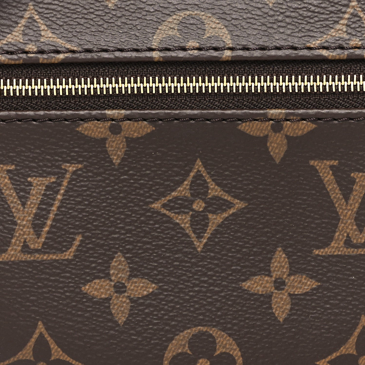Louis Vuitton Monogram Loop 7 of 9