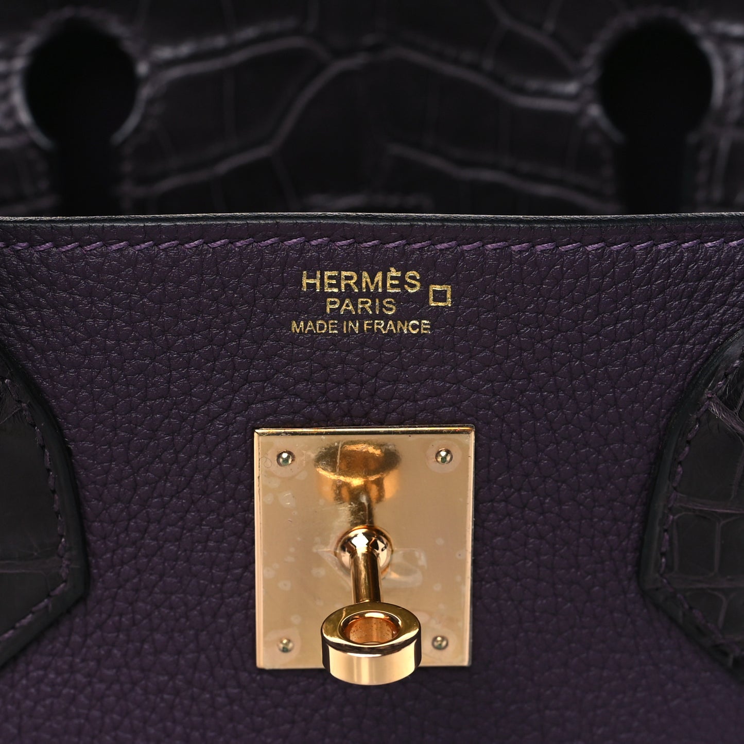 Togo Matte Alligator Birkin Touch 30 Raisin Prunoir