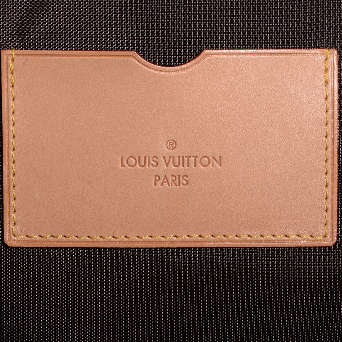 Monogram Pegase 55 Business