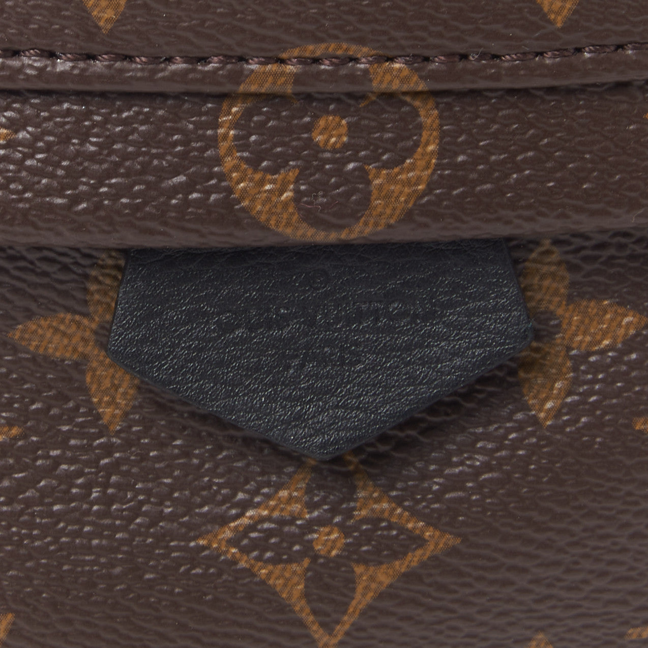 Monogram Palm Springs Backpack Mini
