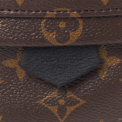 Louis Vuitton Monogram Palm Springs Backpack Mini 8 of 9
