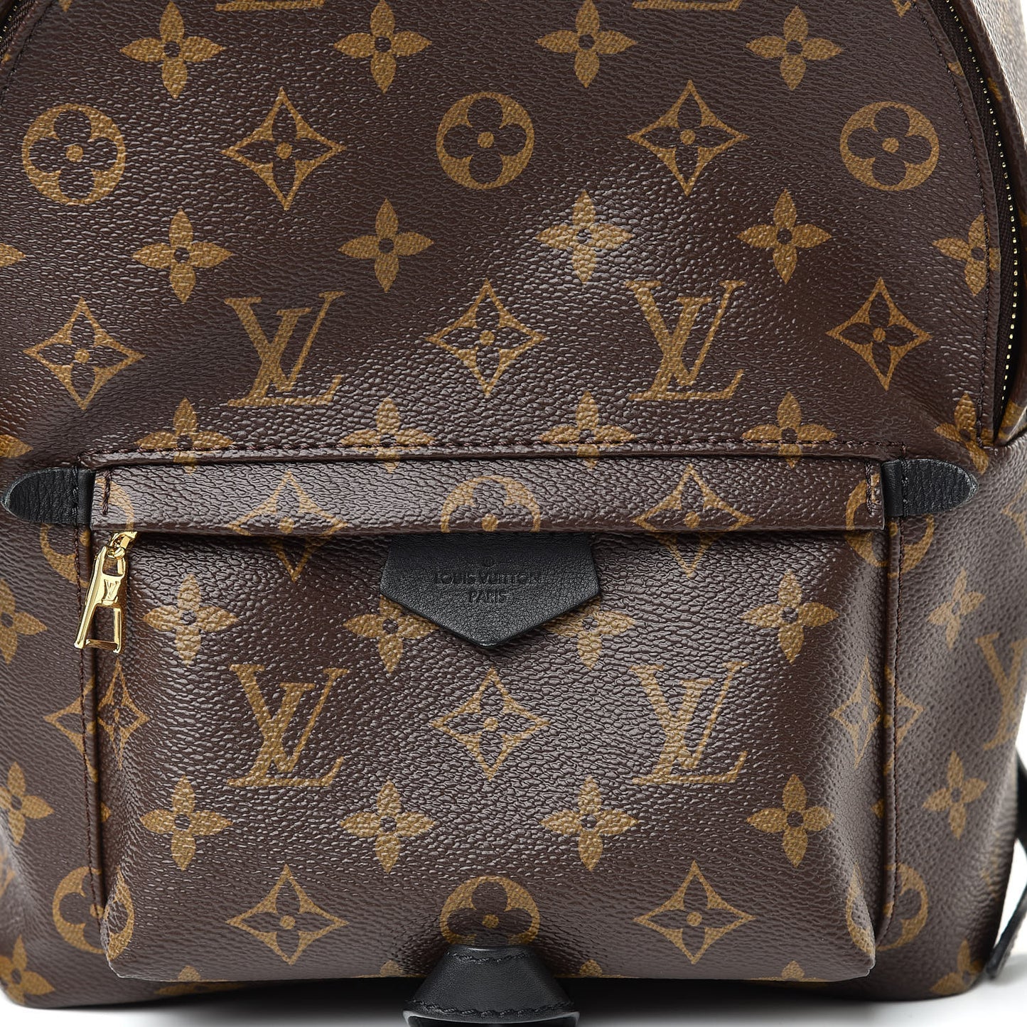 Monogram Palm Springs Backpack PM