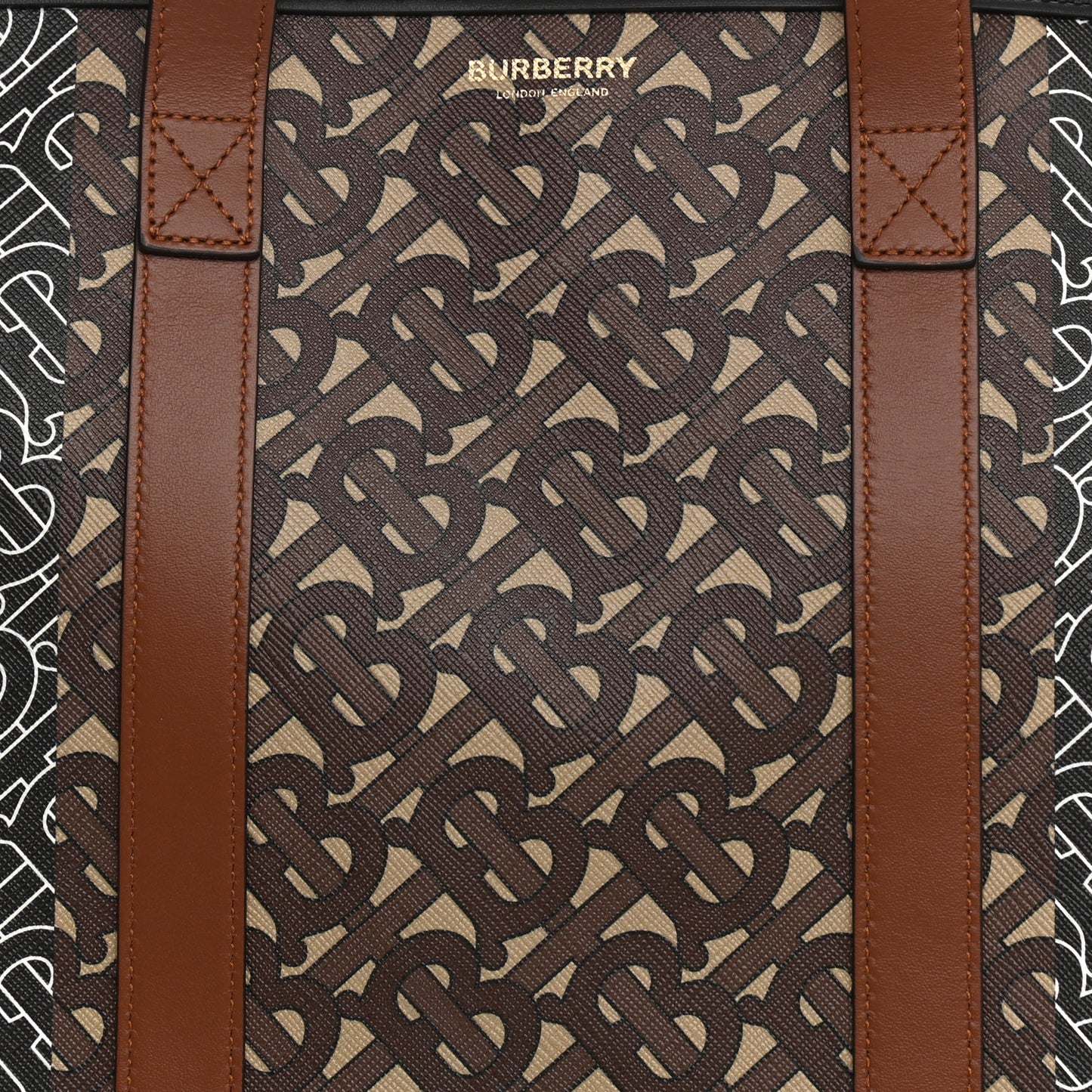 E-Canvas Monogram Stripe Book Tote Bridle Brown