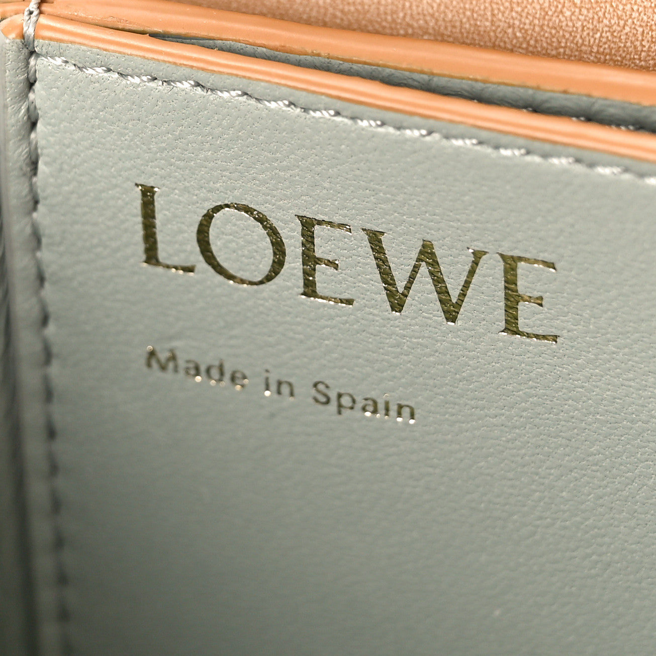 Loewe Silk Calfskin Goya Bag Warm Desert 6 of 8