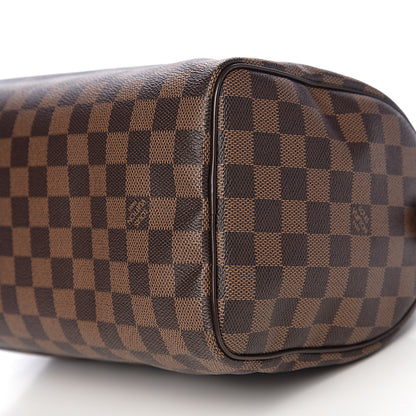 Louis Vuitton Damier Ebene Speedy 25 8 of 10
